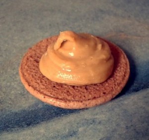 11692503_1657247694520037_7623314525285177676_n